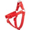 Frisco Outdoor Solid Textured Waterproof Stink Proof PVC Dog Harness
