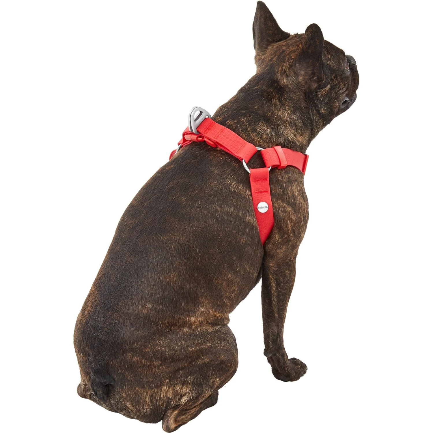 Frisco Outdoor Solid Textured Waterproof Stink Proof PVC Dog Harness - Image 4