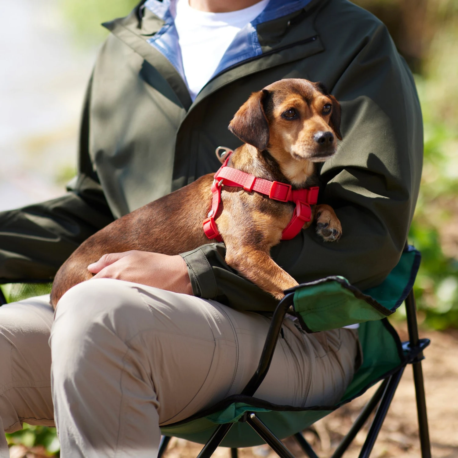 Frisco Outdoor Solid Textured Waterproof Stink Proof PVC Dog Harness - Image 5