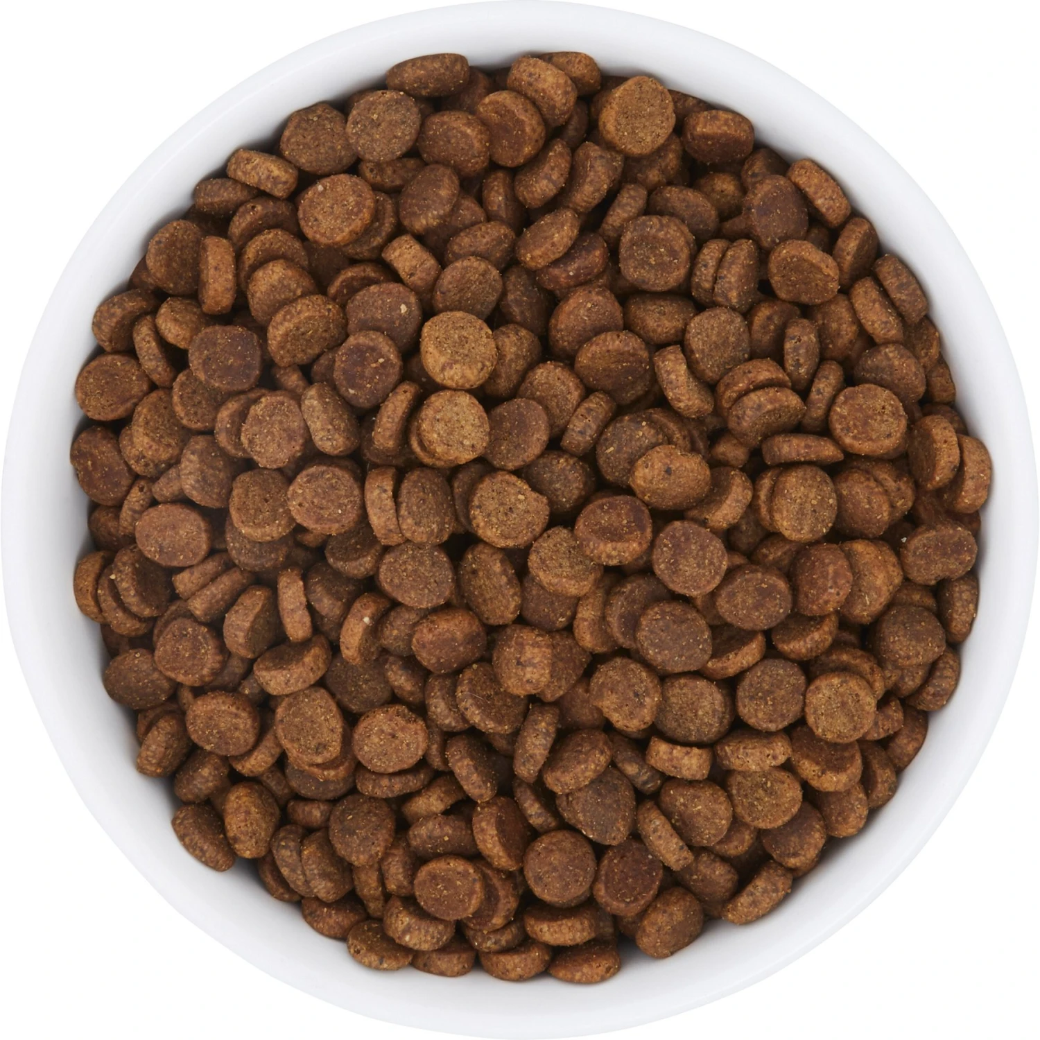 Frisco Bohemian Non-Skid Stainless Steel Dog & Cat Bowl - Image 5