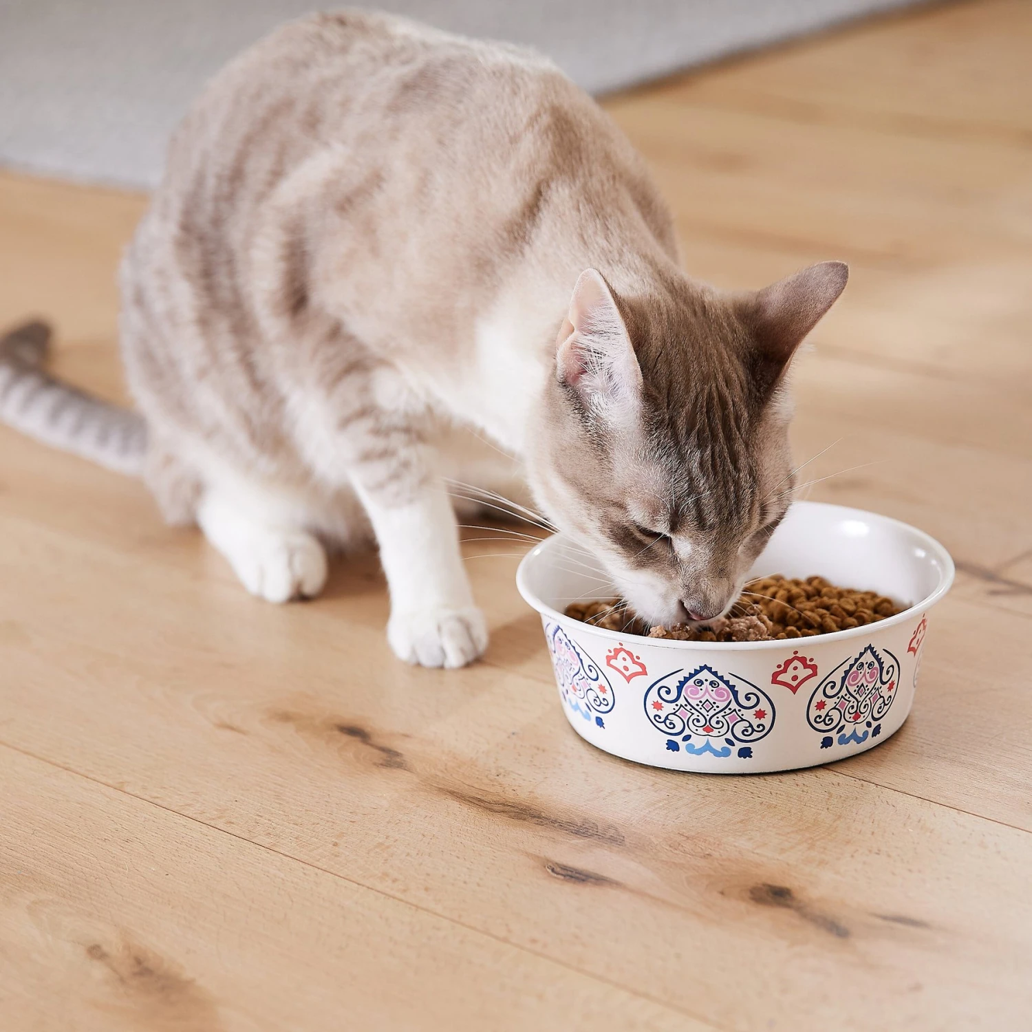 Frisco Bohemian Non-Skid Stainless Steel Dog & Cat Bowl - Image 8