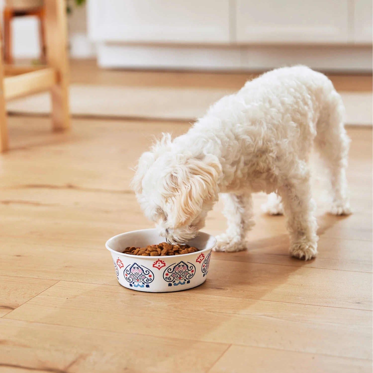Frisco Bohemian Non-Skid Stainless Steel Dog & Cat Bowl - Image 9
