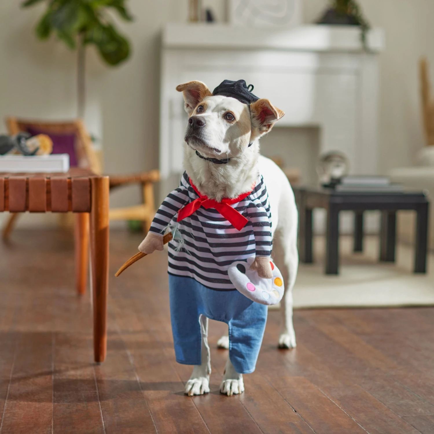 Frisco Front Walking French Artist Dog & Cat Costume - Image 8