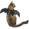 Frisco Bat Wings Dog & Cat Costume