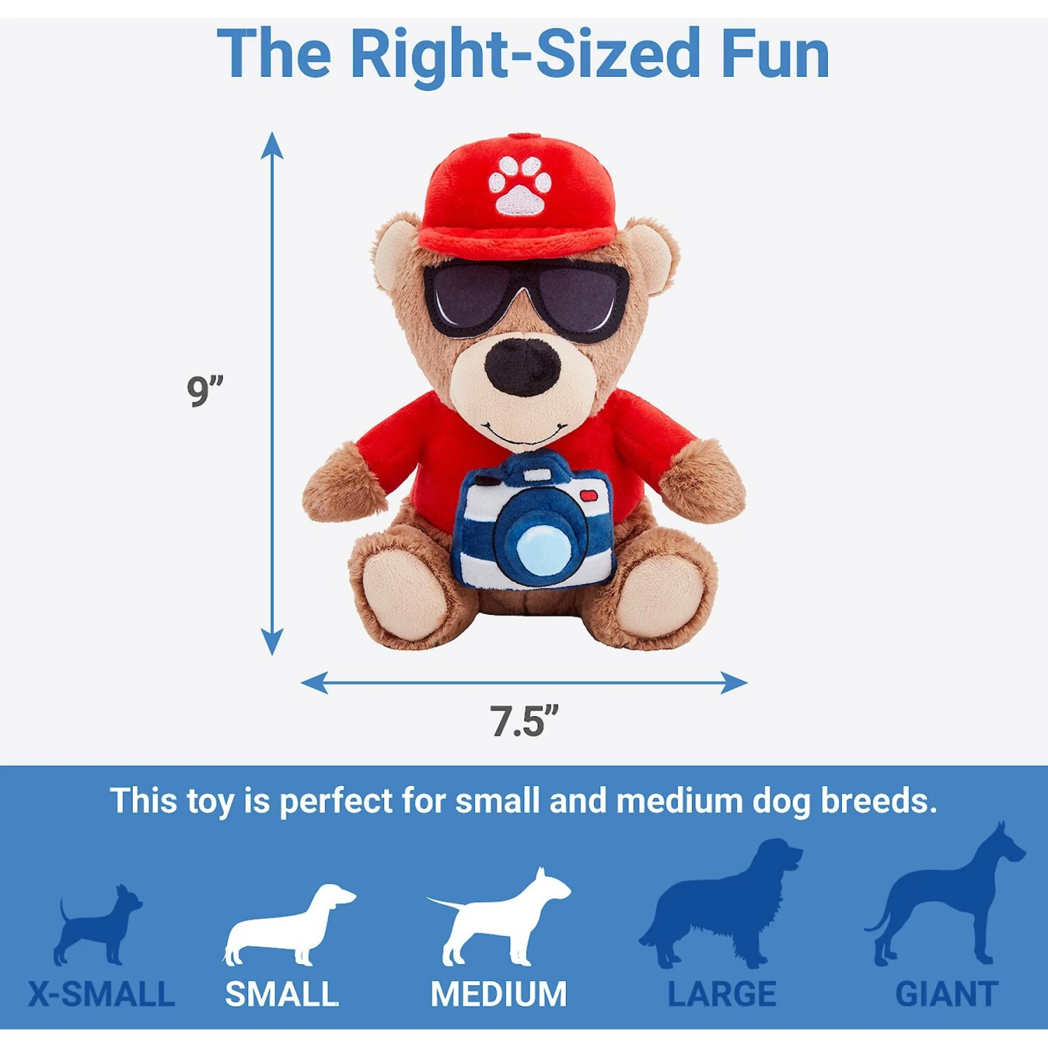 Frisco Road Trip Tourist Bear Plush Squeaky Dog Toy - Image 2