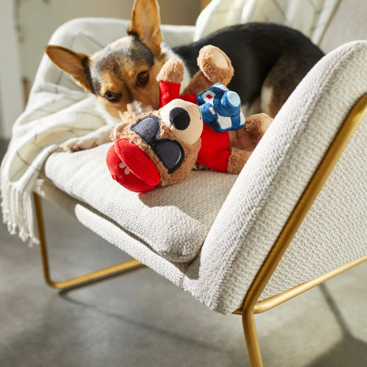 Frisco Road Trip Tourist Bear Plush Squeaky Dog Toy - Image 3