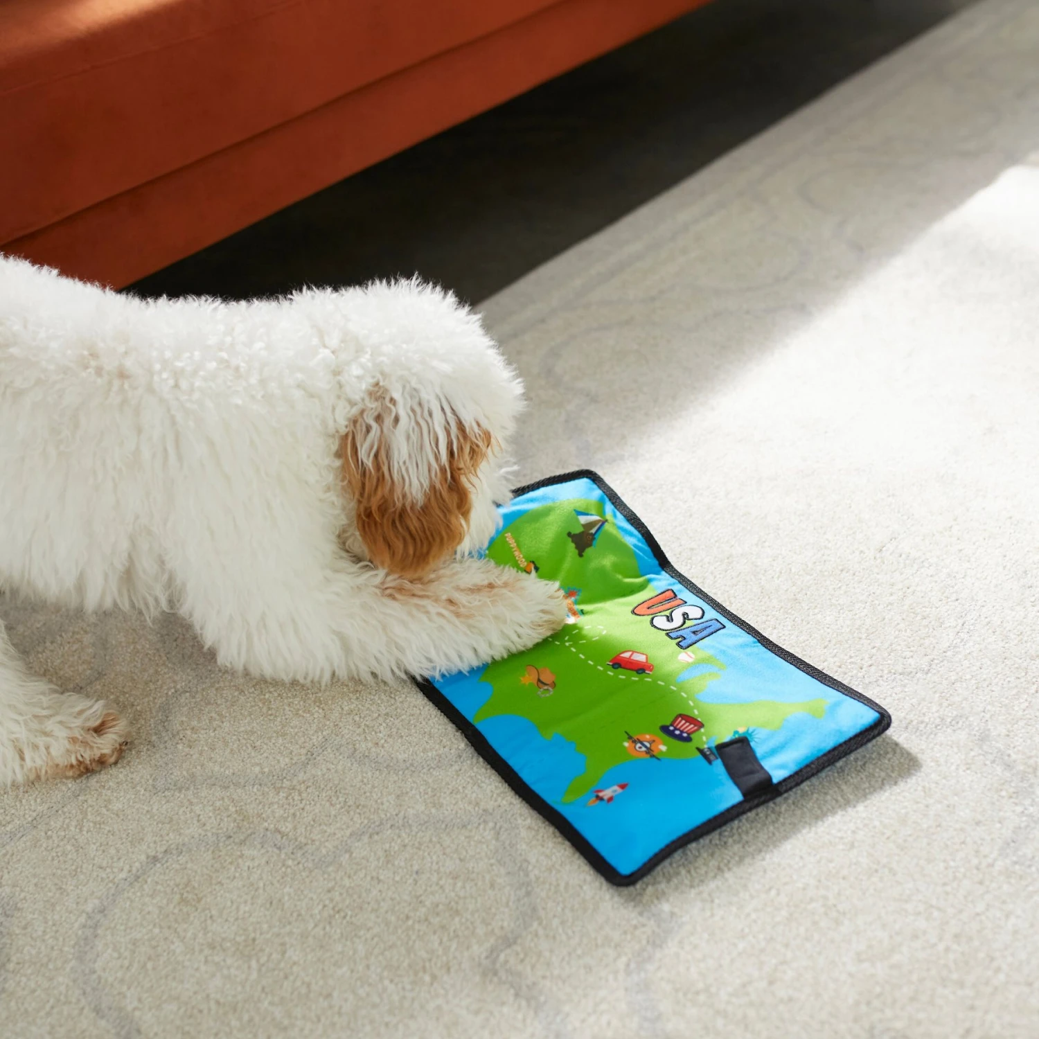 Frisco Road Trip Foldable Map Flat Plush Squeaky Dog Toy - Image 5