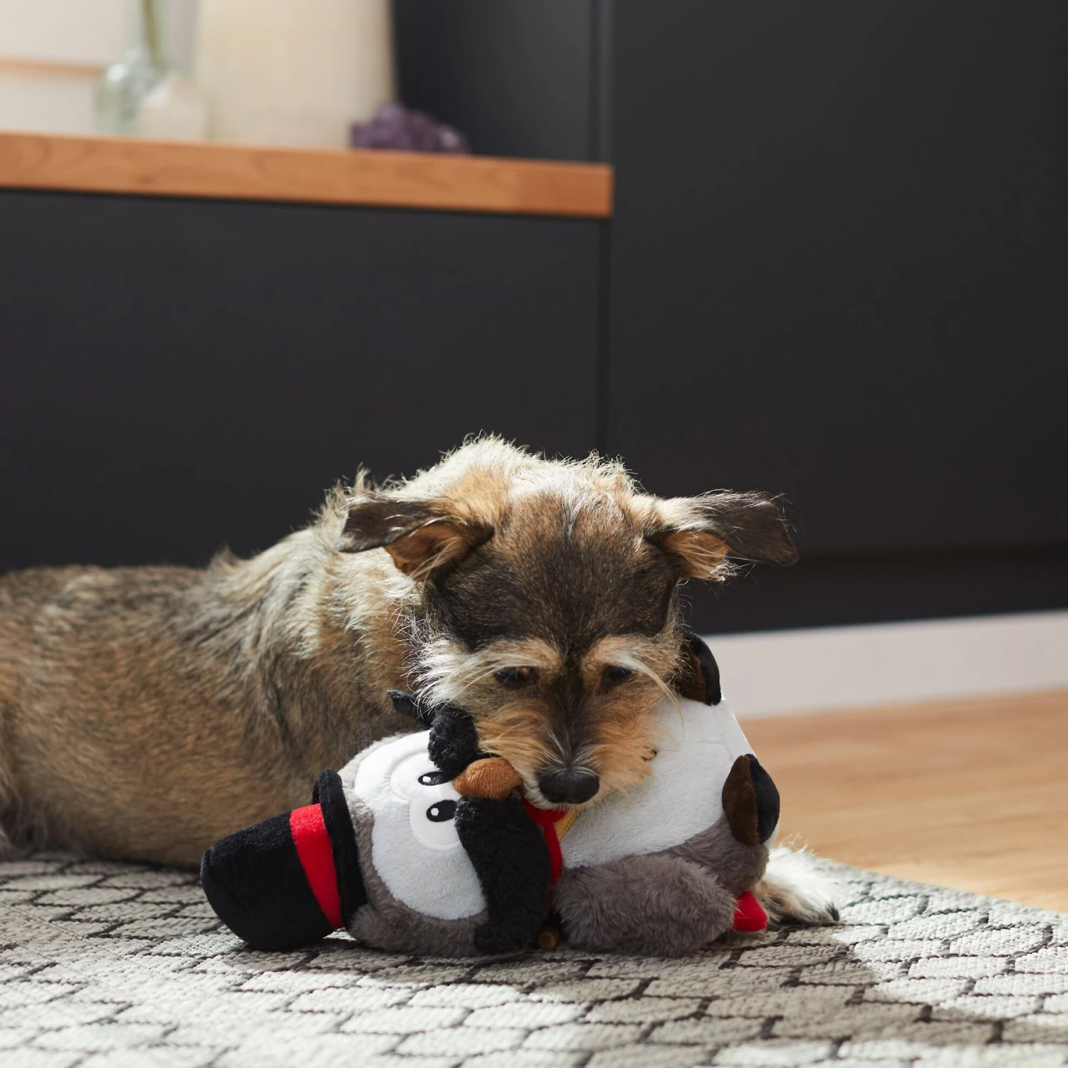 Frisco Magic Owl Plush Squeaky Dog Toy - Image 3