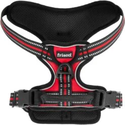 Frisco Padded Reflective Harness