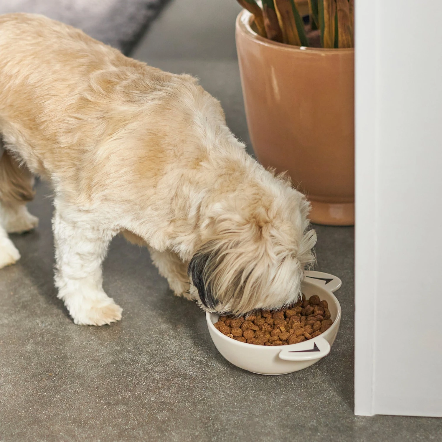 Frisco Dog Face Non-skid Ceramic Cat & Dog Bowl - Image 3