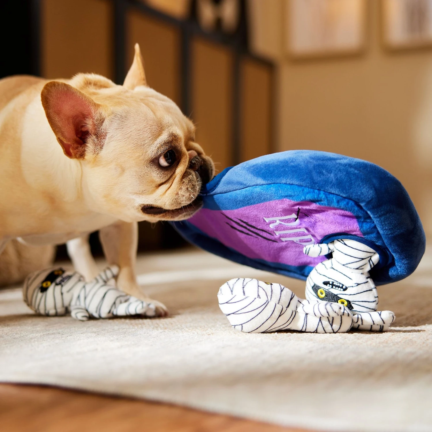 Frisco Halloween Mummy & Coffin Hide & Seek Puzzle Plush Squeaky Dog Toy - Image 4