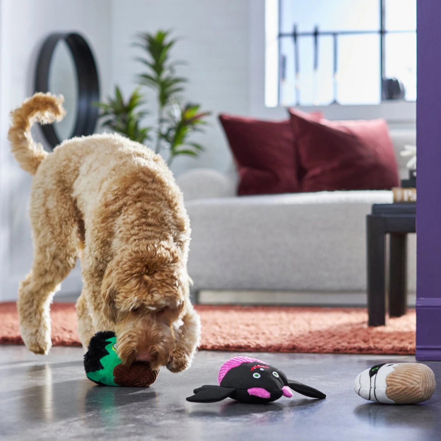 Frisco Halloween Cupcakes Plush Squeaky Dog Toy - Image 3