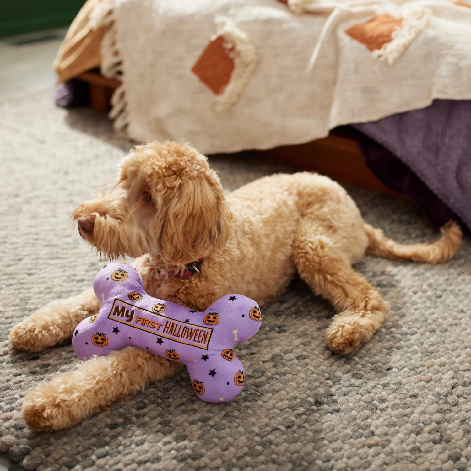 Frisco Halloween My First Halloween Bone Reversible Plush Squeaky Dog Toy - Image 4