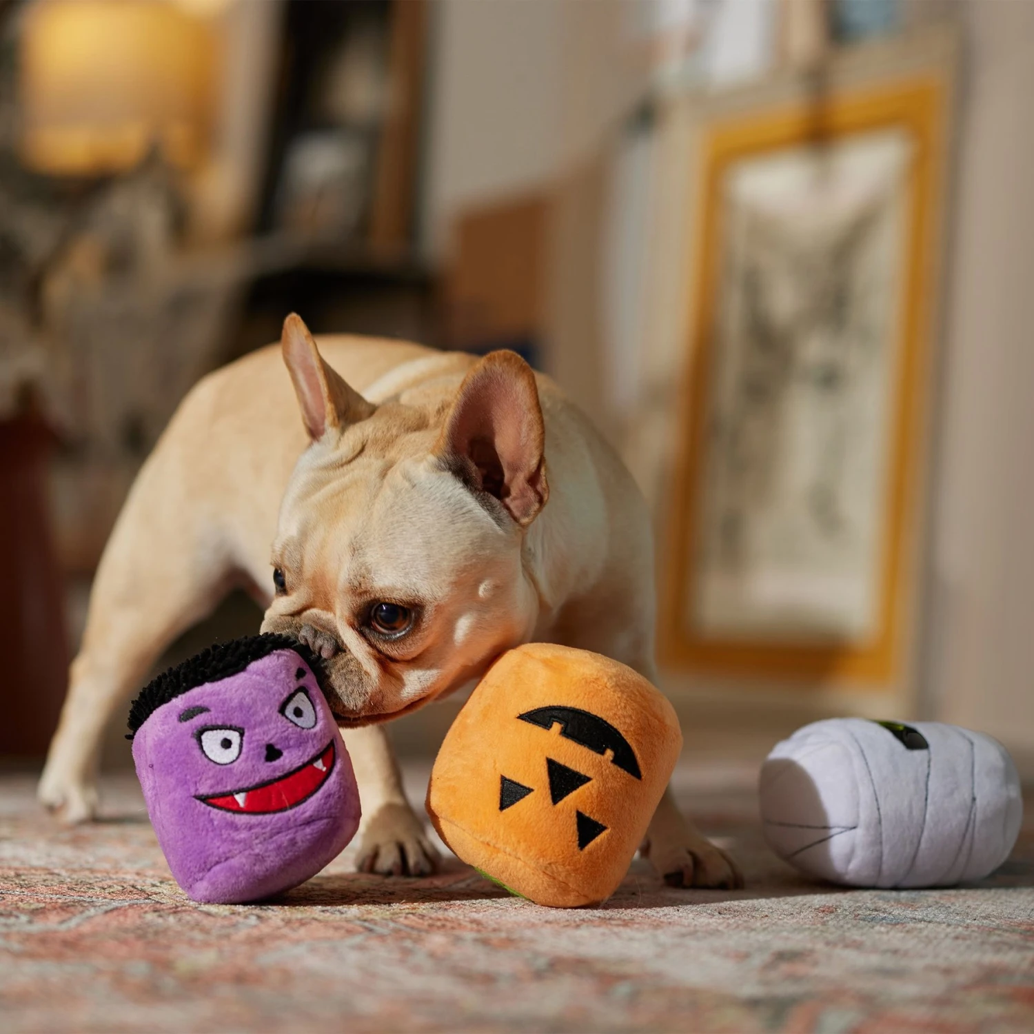 Frisco Halloween Haunted Friends Plush Squeaky Dog Toy, 3 Count - Image 3