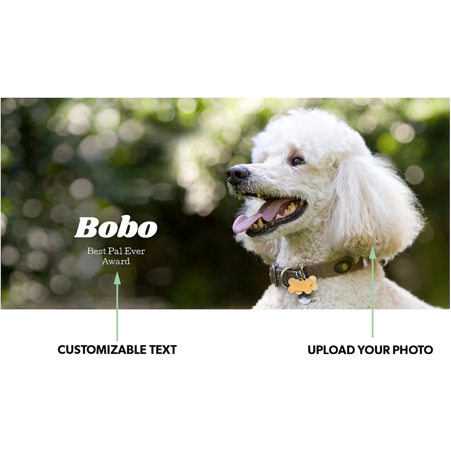 Frisco Basic Insulated Stainless Steel Personalized Mug, 10-oz - Image 2