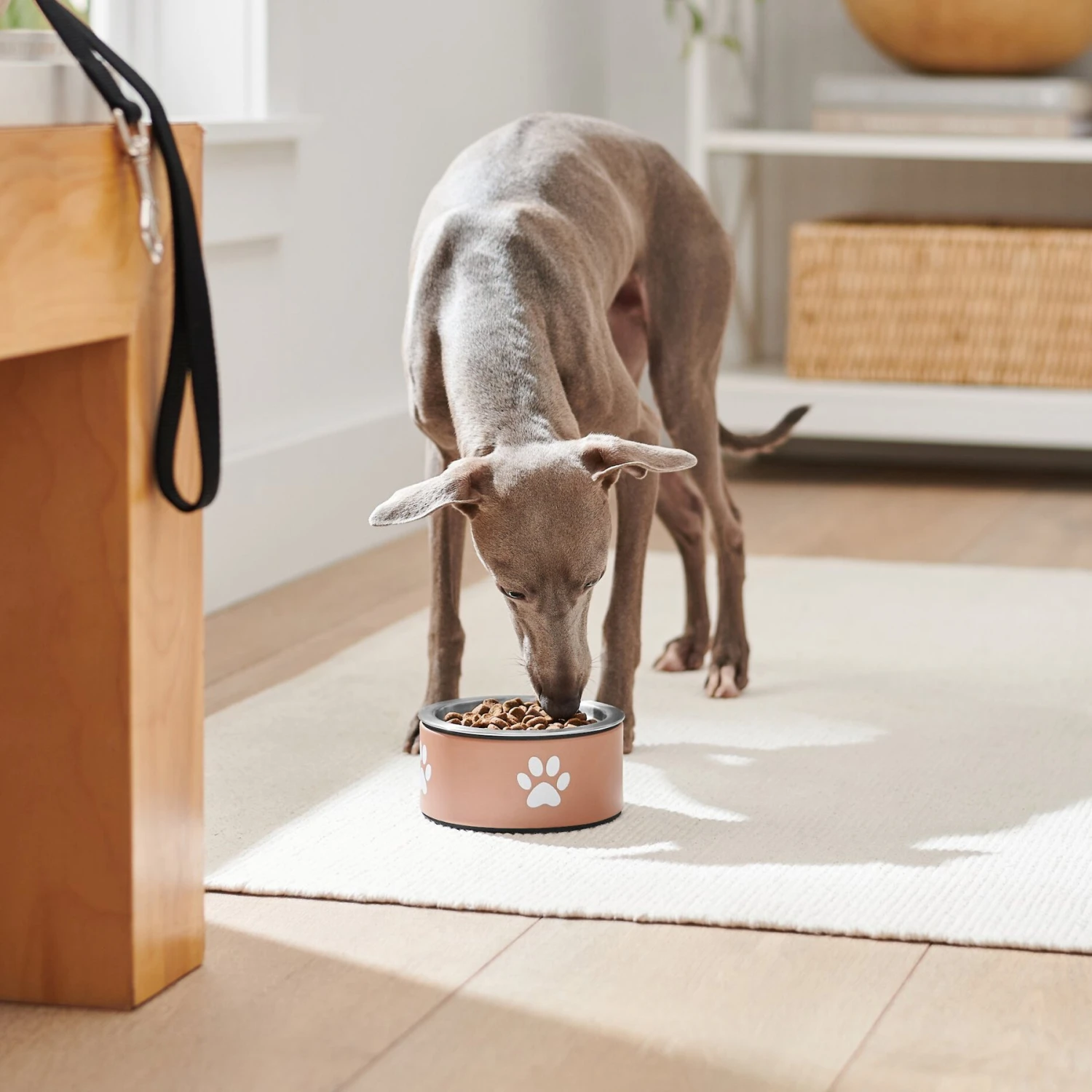 Frisco Paw Print Non-Skid Stainless Steel Dog & Cat Bowl - Image 3