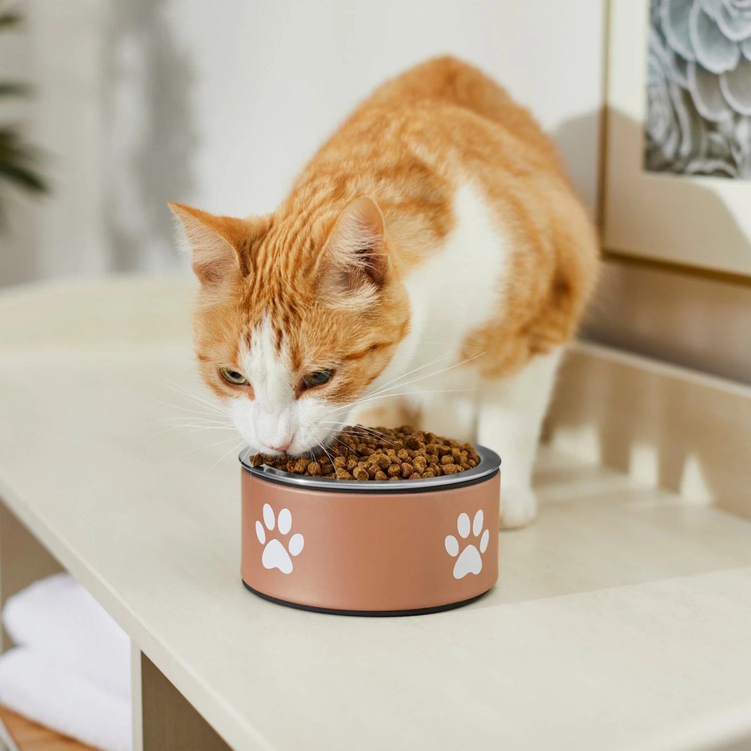 Frisco Paw Print Non-Skid Stainless Steel Dog & Cat Bowl - Image 4