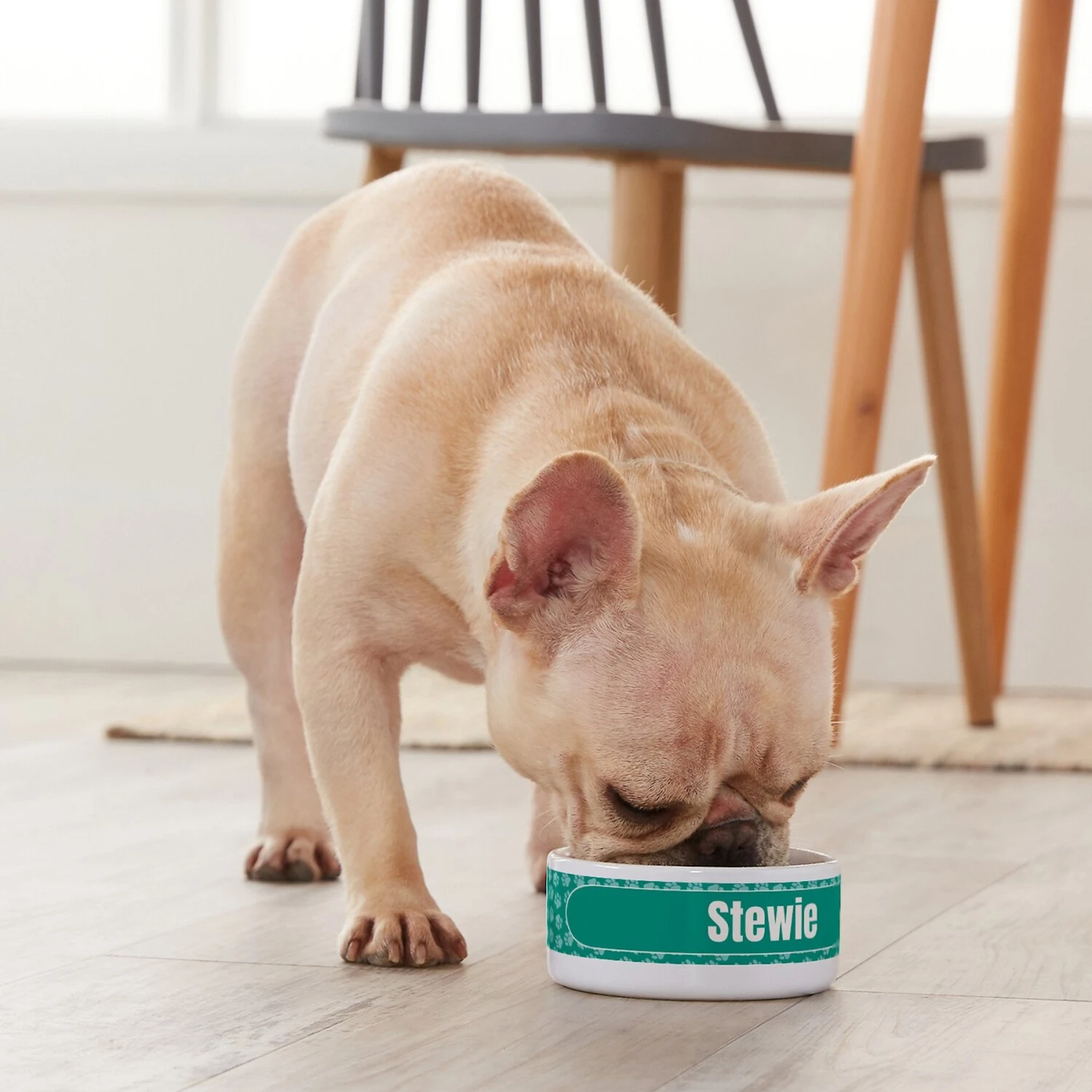 Frisco Personalized General Dog & Cat Small Dog Bowl - Image 4