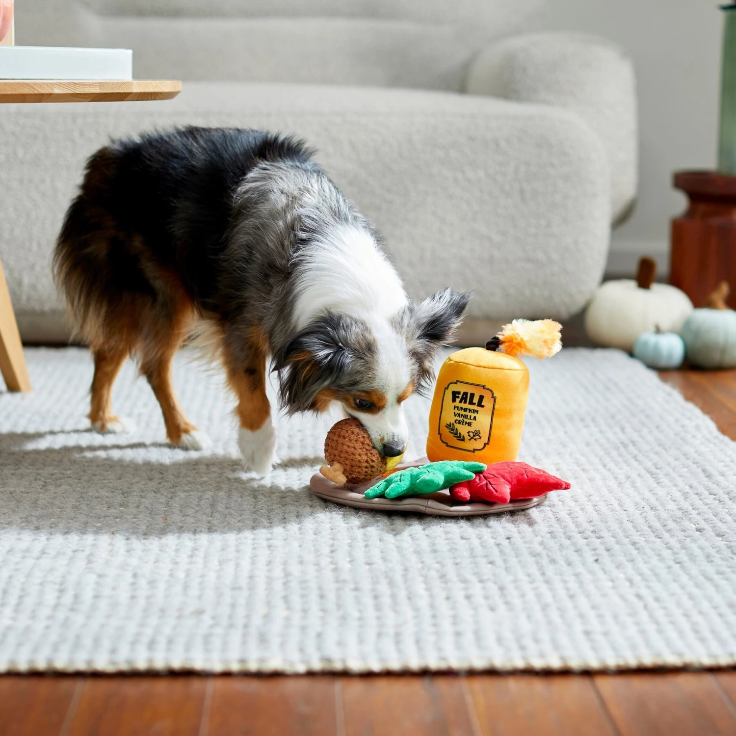 Frisco Fall Festive Candle Charger Plush Squeaky Dog Toy, 4 Count - Image 3