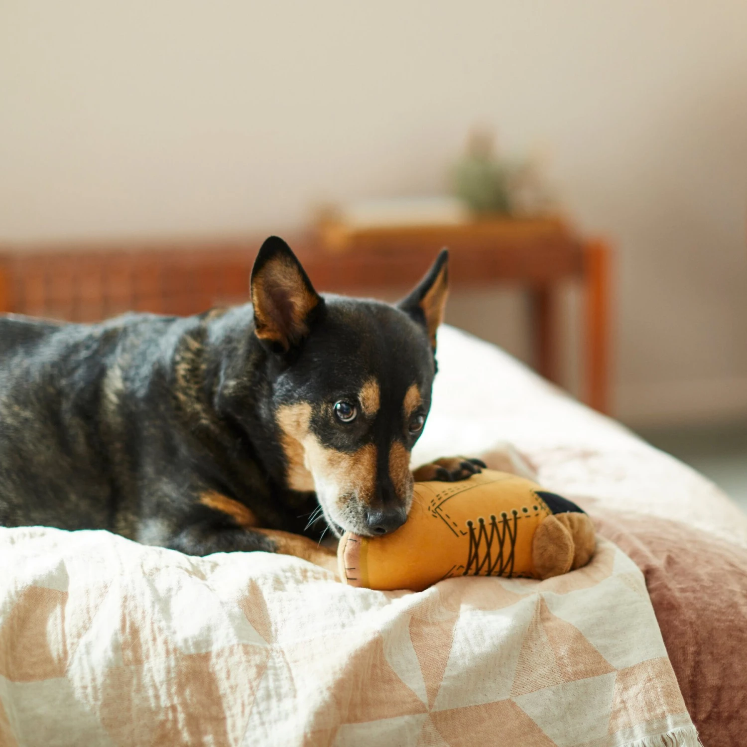 Frisco Fall Boot Plush Squeaky Dog Toy - Image 3