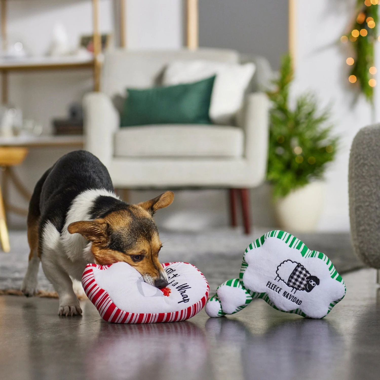 Frisco Holiday Thought Bubble Plush Squeaky Dog Toy, 2 Count - Image 3