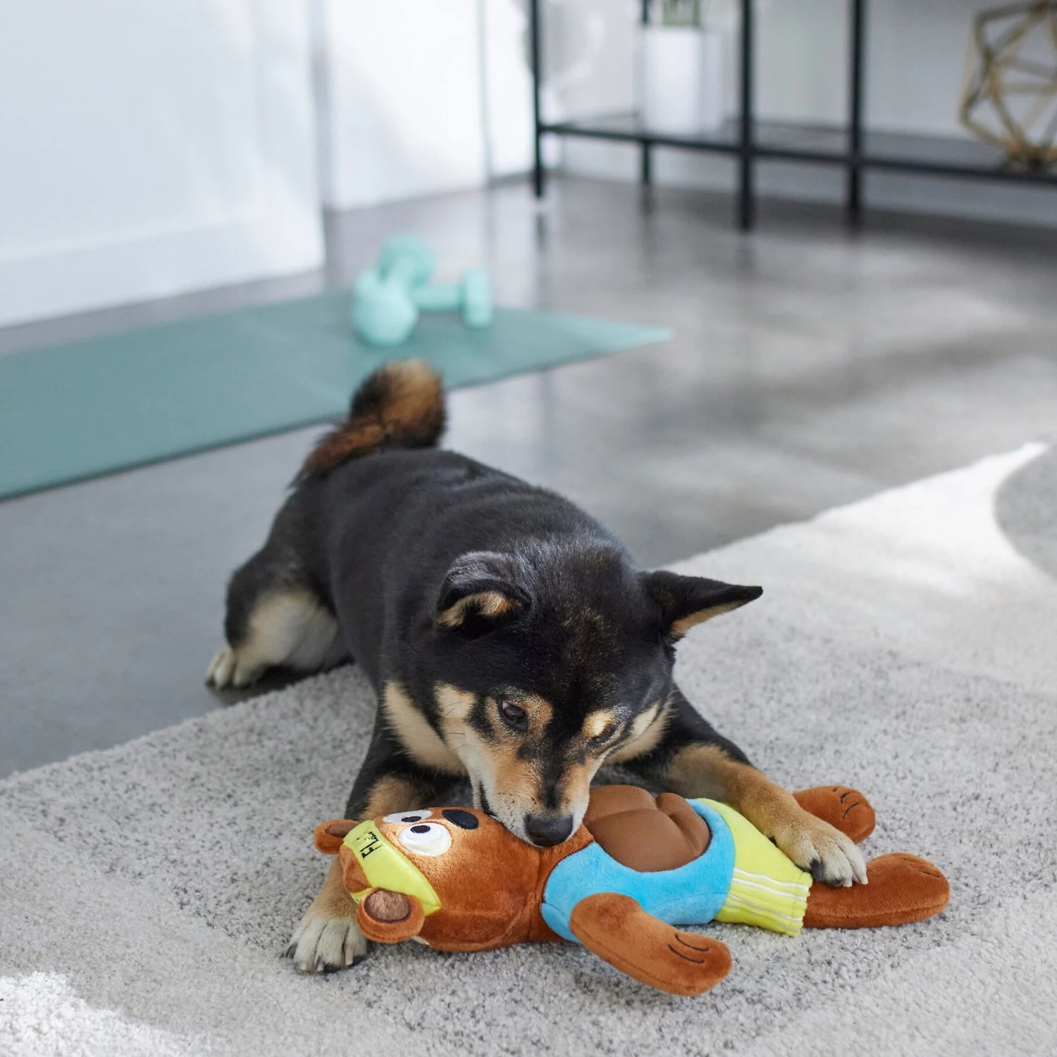 Frisco Fitness Bear Reversible Plush Squeaky Dog Toy - Image 4