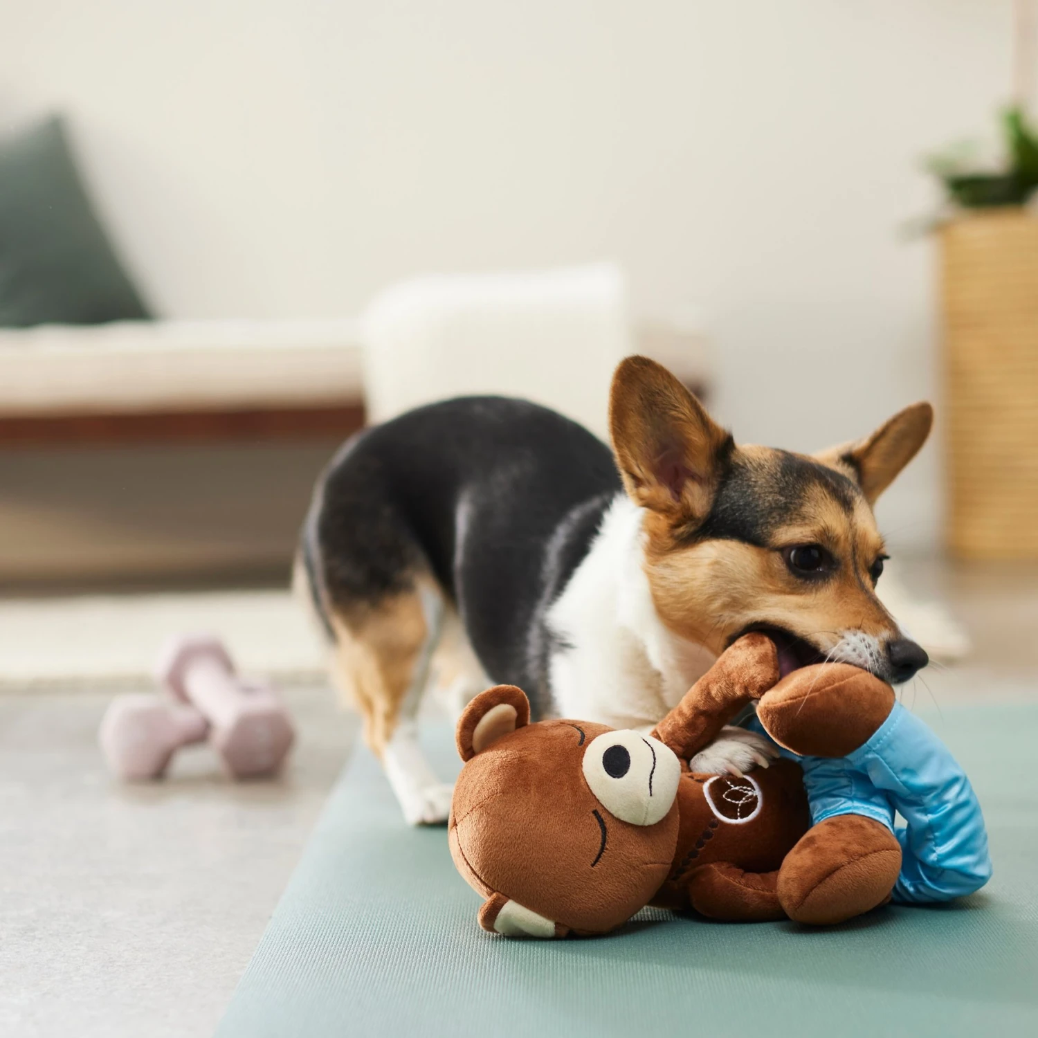 Frisco Yoga Bear Plush Squeaky Dog Toy - Image 3