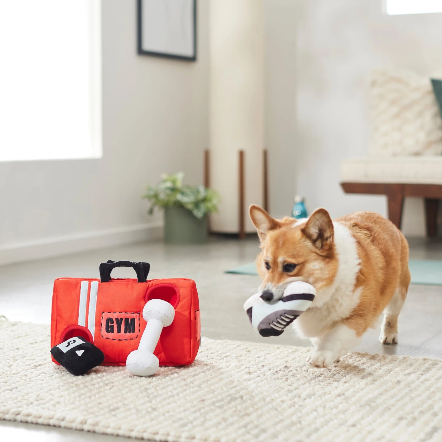 Frisco Gym Bag Hide & Seek Puzzle Plush Squeaky Dog Toy - Image 3