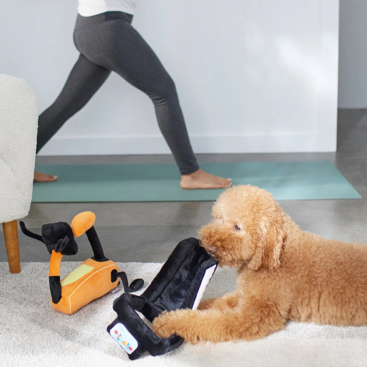 Frisco Treadmill & Bike Plush Squeaky Dog Toy, 2 Count - Image 3