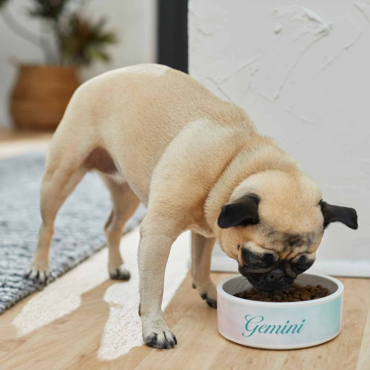 Frisco Watercolors Ceramic Personalized Dog Bowl - Image 3