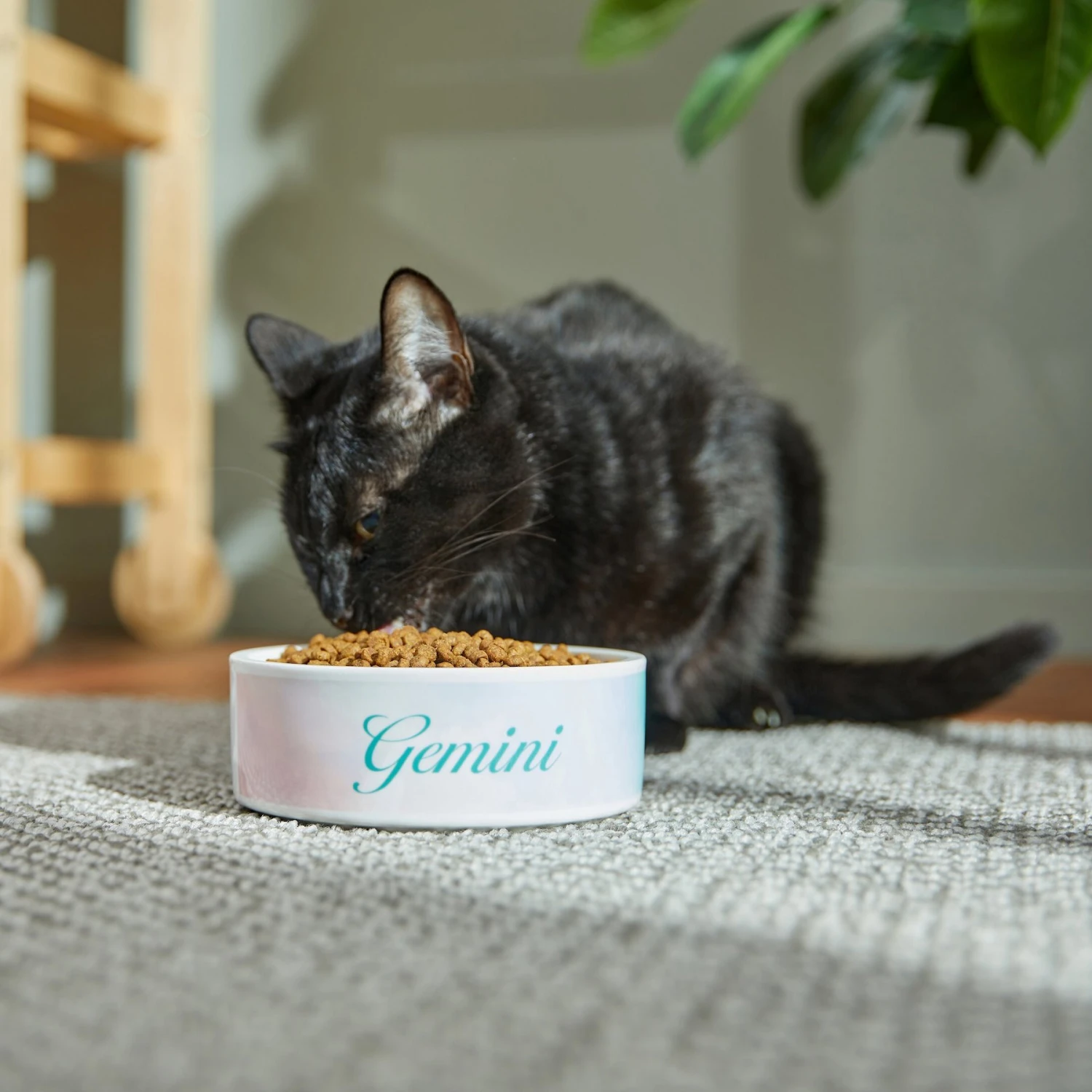 Frisco Watercolors Ceramic Personalized Dog Bowl - Image 4