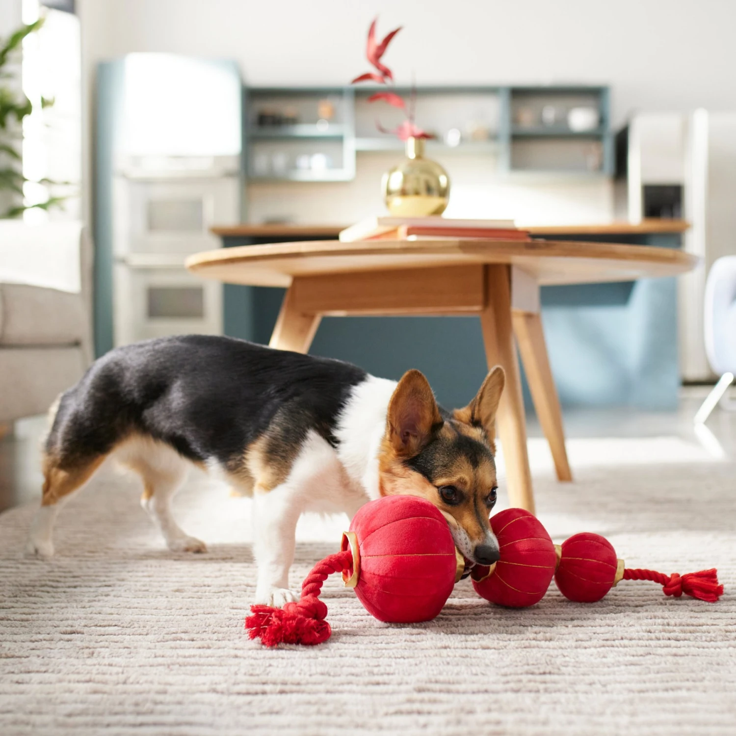 Frisco Lunar New Year Lantern Plush With Rope Squeaky Dog Toy - Image 3
