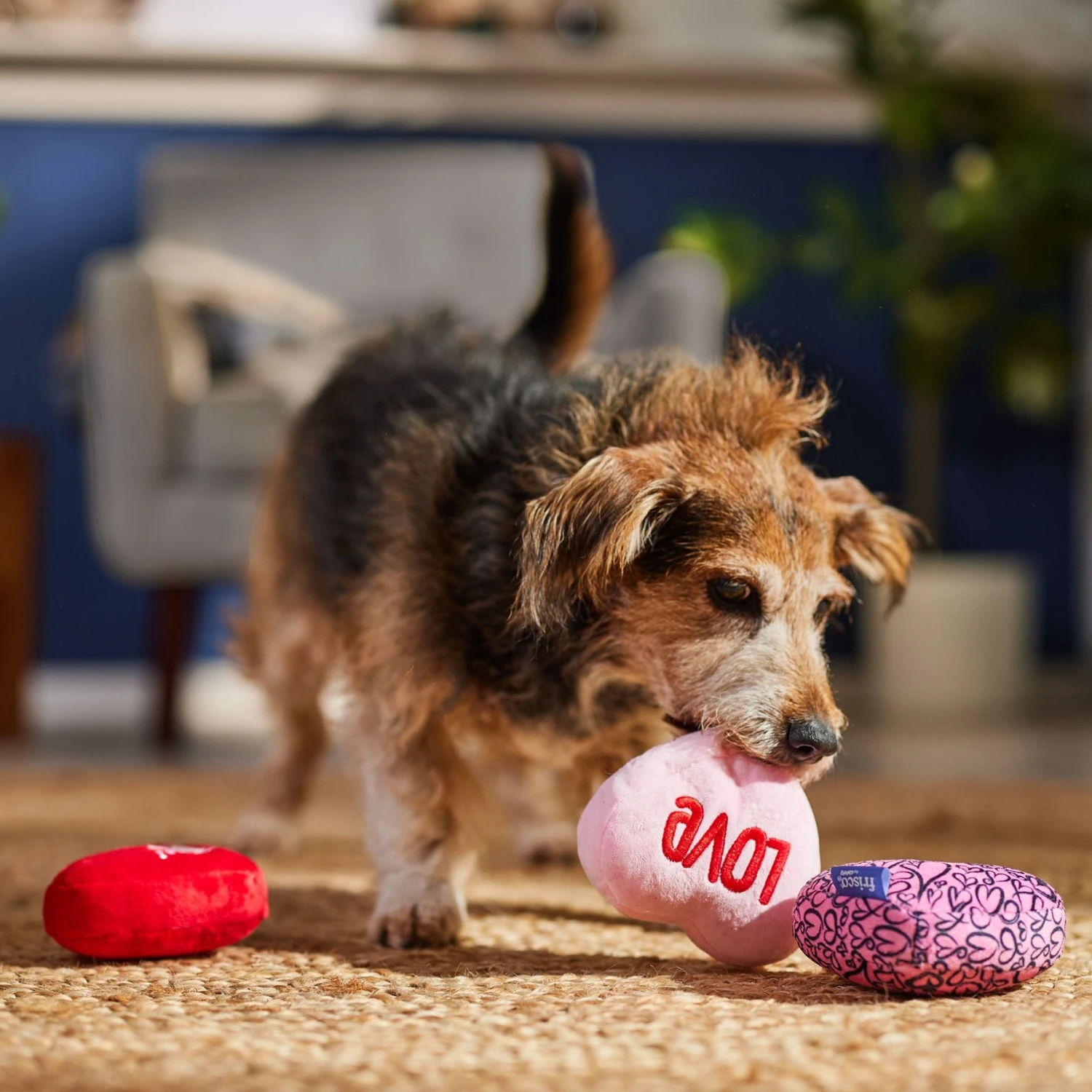 Frisco Valentine Hearts Plush Squeaky Dog Toy - Image 3