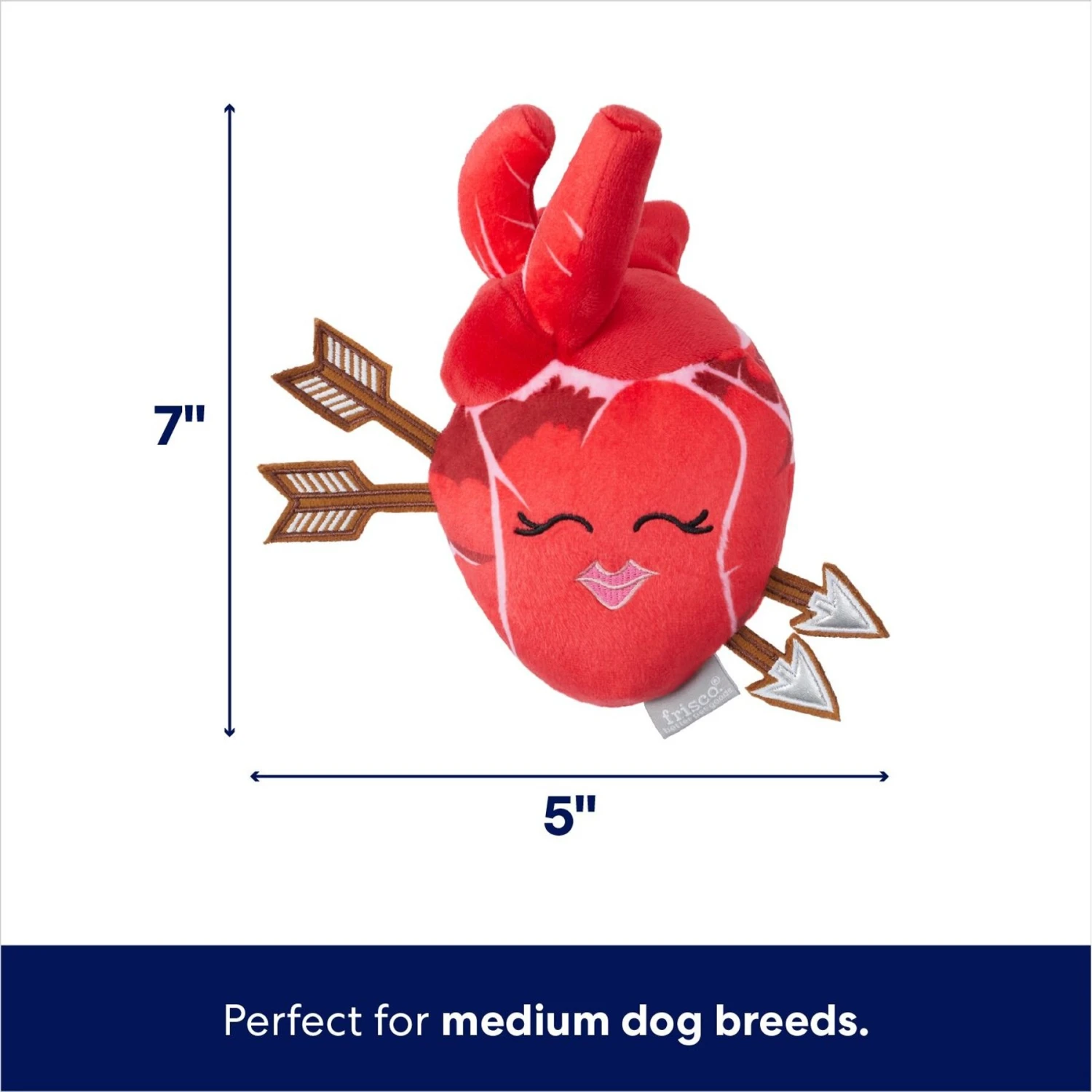 Frisco Valentine Anatomical Heart Plush Squeaky Dog Toy - Image 2