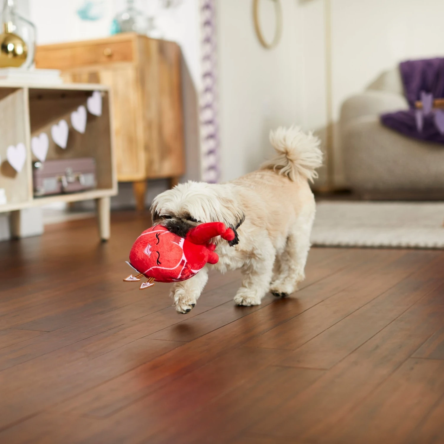 Frisco Valentine Anatomical Heart Plush Squeaky Dog Toy - Image 3