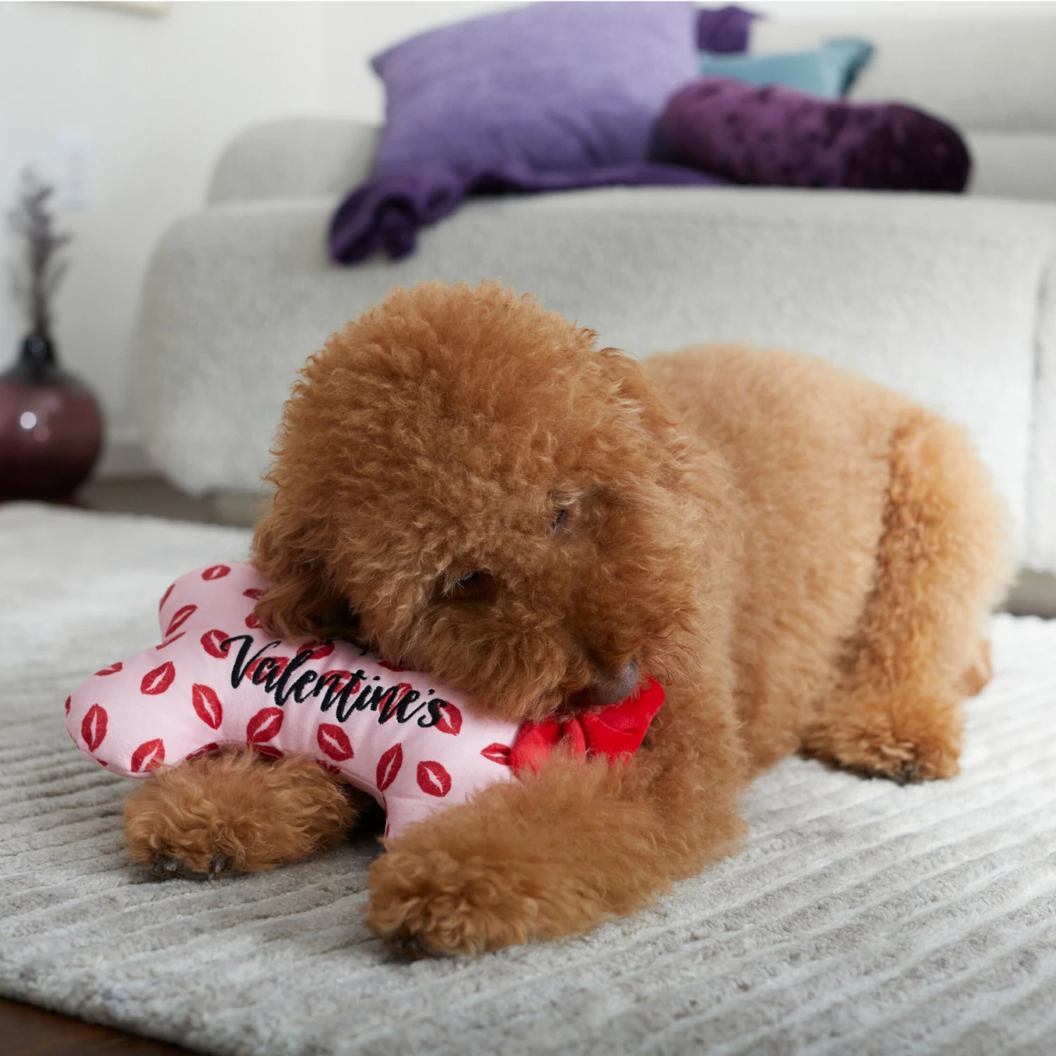 Frisco Valentine My First Valentine's Bone Reversible Plush Squeaky Dog Toy - Image 4