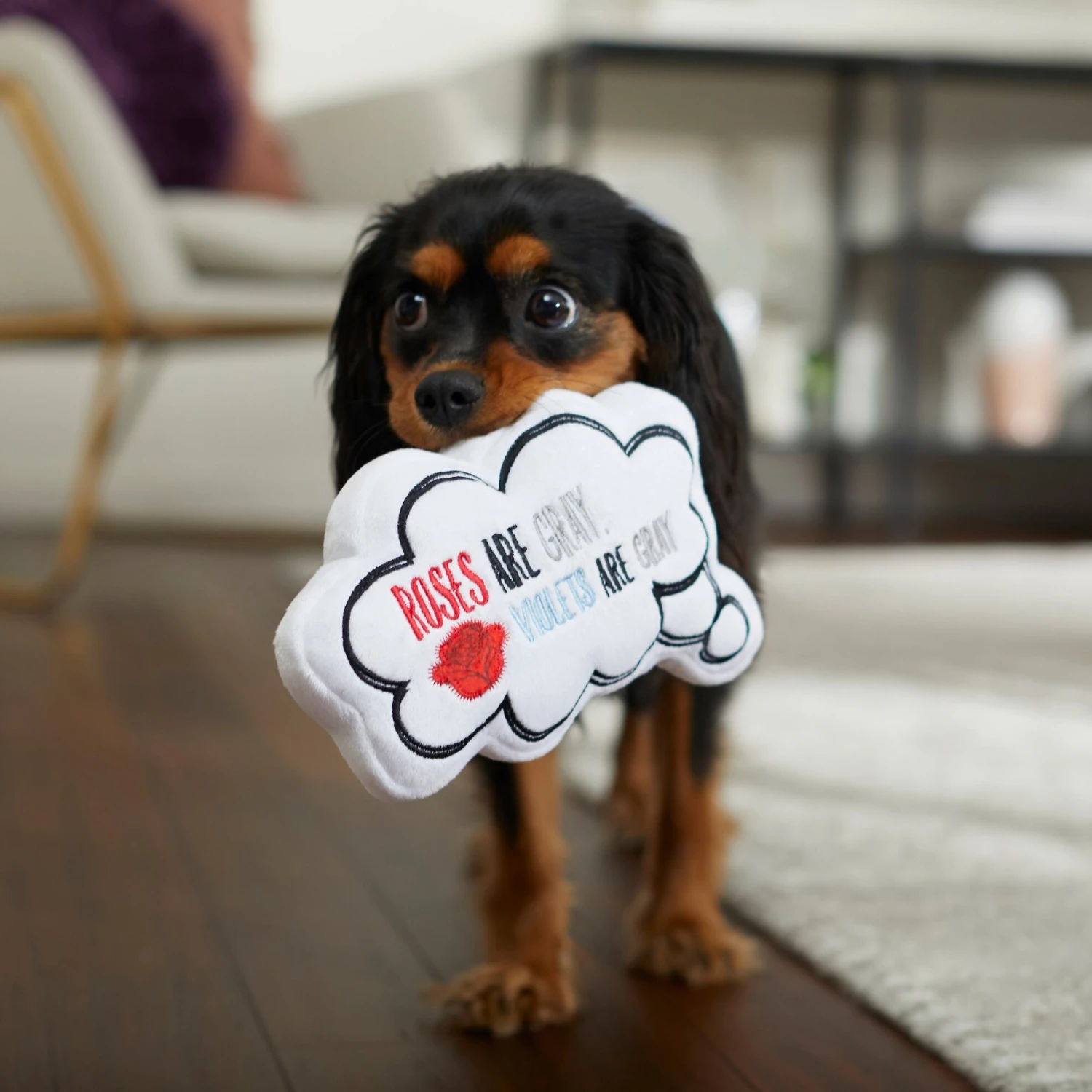 Frisco Valentine Be My Valentine Thought Bubble Reversible Plush Squeaky Dog Toy - Image 4