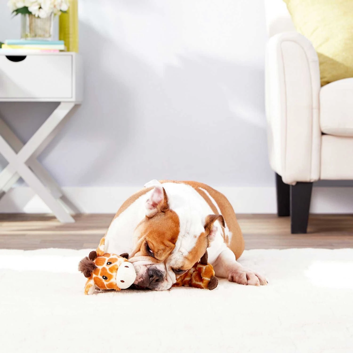 Frisco Giraffe Bungee Plush Squeaky Dog Toy & Frisco Sloth Bungee Plush Squeaky Dog Toy - Image 5