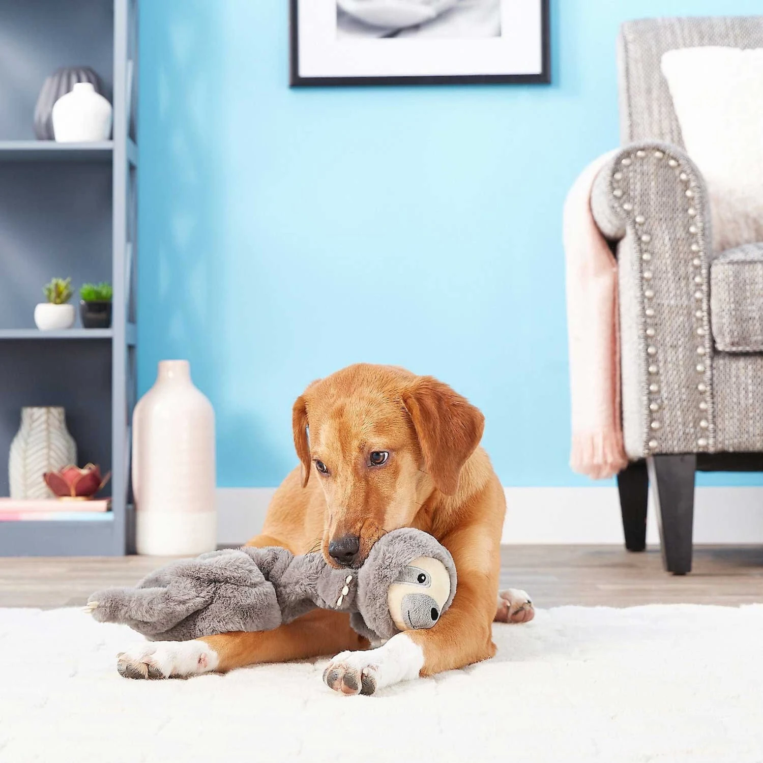 Frisco Giraffe Bungee Plush Squeaky Dog Toy & Frisco Sloth Bungee Plush Squeaky Dog Toy - Image 9