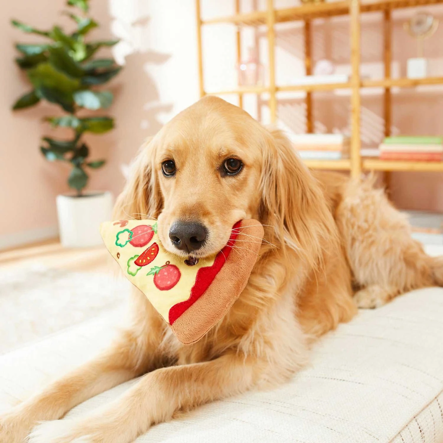 Frisco Pizza Slice Plush Squeaky Dog Toy & Frisco Taco Plush Squeaky Dog Toy - Image 4