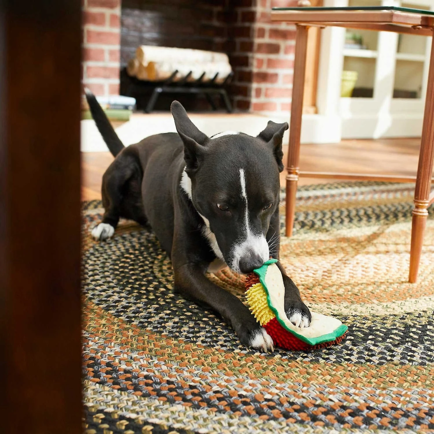 Frisco Pizza Slice Plush Squeaky Dog Toy & Frisco Taco Plush Squeaky Dog Toy - Image 7