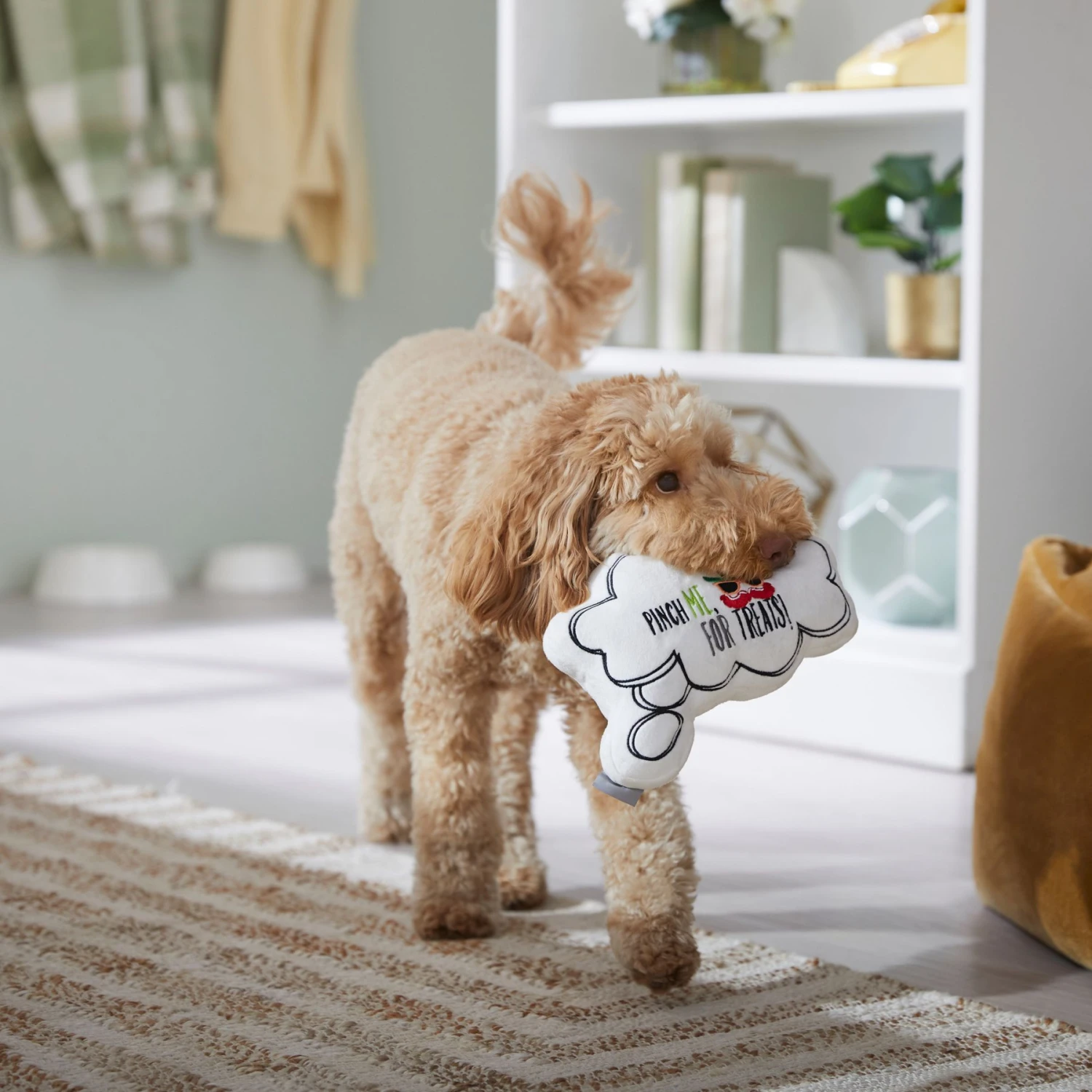 Frisco St. Patrick's Thought Bubble Reversible Plush Squeaky Dog Toy - Image 5