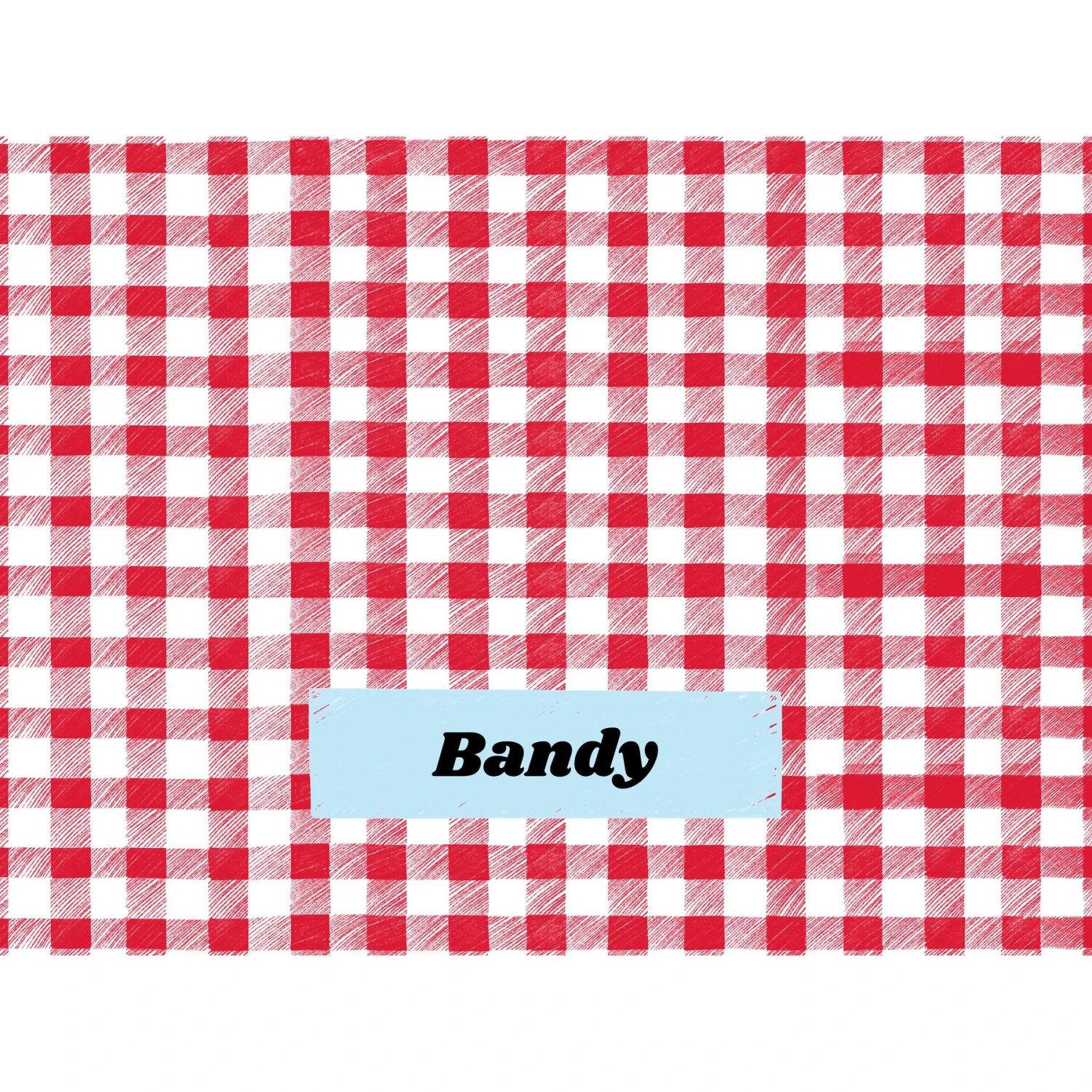 Frisco Personalized Gingham Plaid Soft Fleece Cat & Dog Blanket, 30" X 40" - Image 5