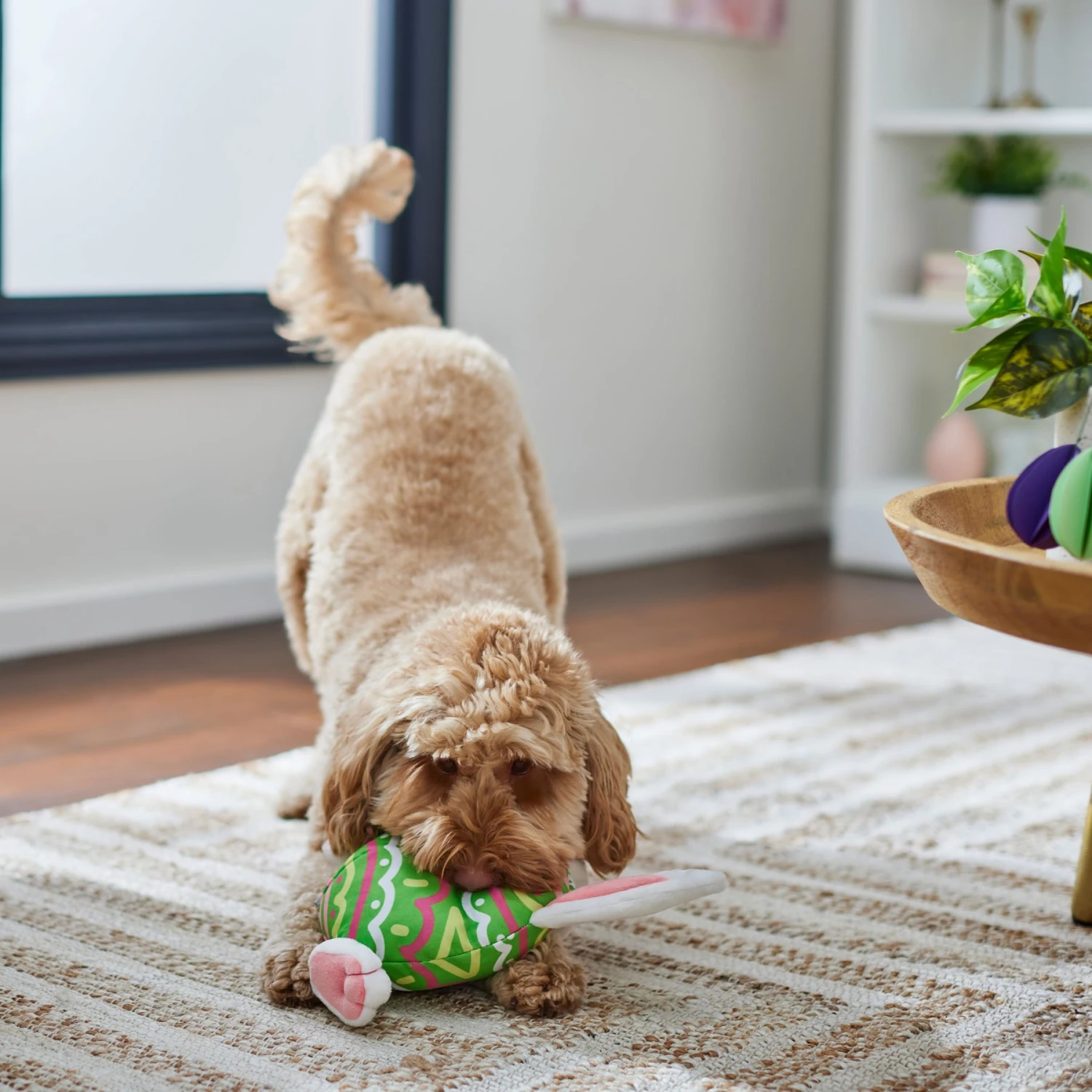 Frisco Easter Bunny Egg Plush Squeaky Dog Toy - Image 4