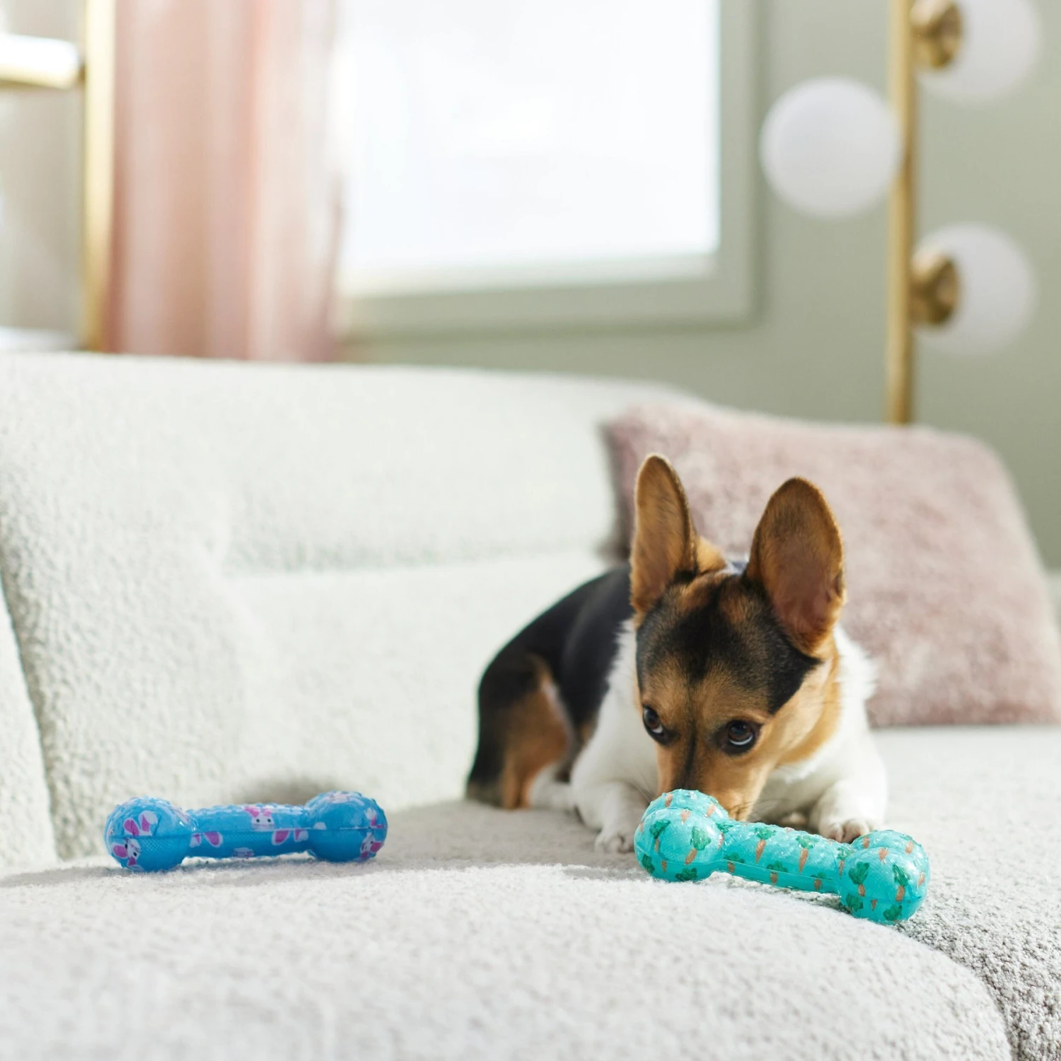 Frisco Easter TPR Bone Squeaky Dog Toy, Medium/Large, 2 Count - Image 4