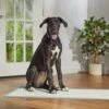Frisco Giant Non-Skid Ultra Premium Dog Training & Potty Pads