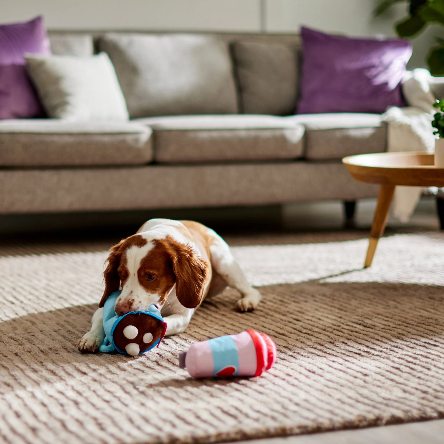 Frisco Valentine Coffee For Two Ballistic Nylon Plush Squeaky Dog Toy - Image 3