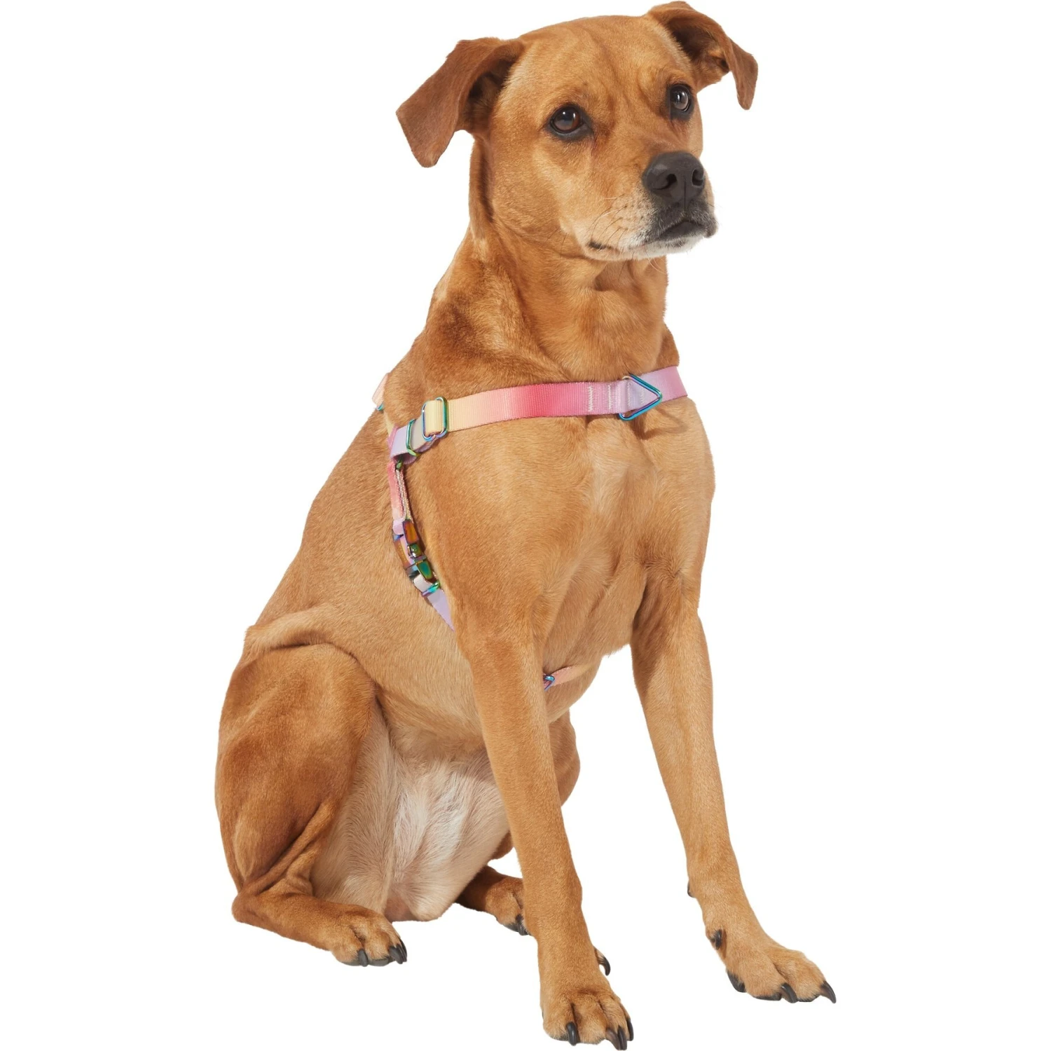 Frisco Pink Ombre Style Dog Harness - Image 3