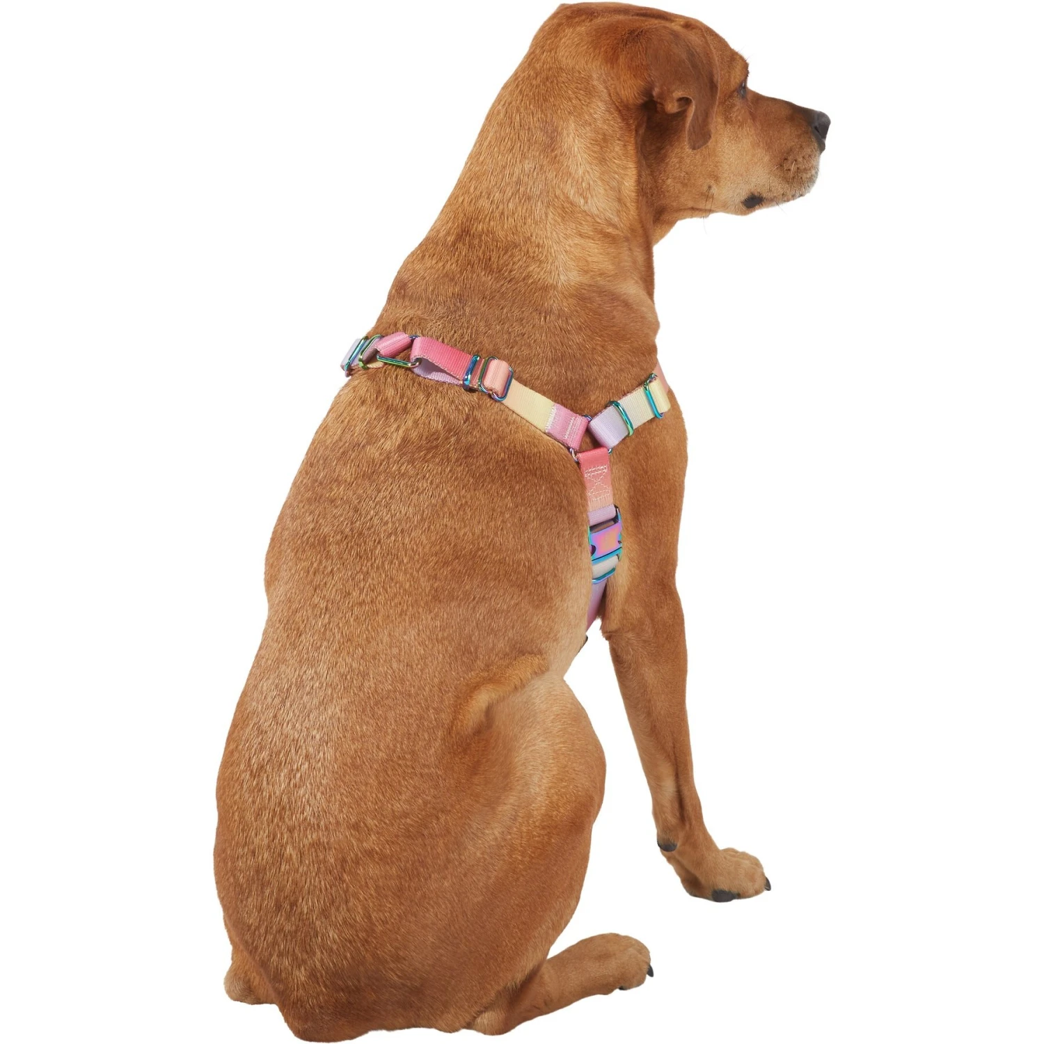 Frisco Pink Ombre Style Dog Harness - Image 4
