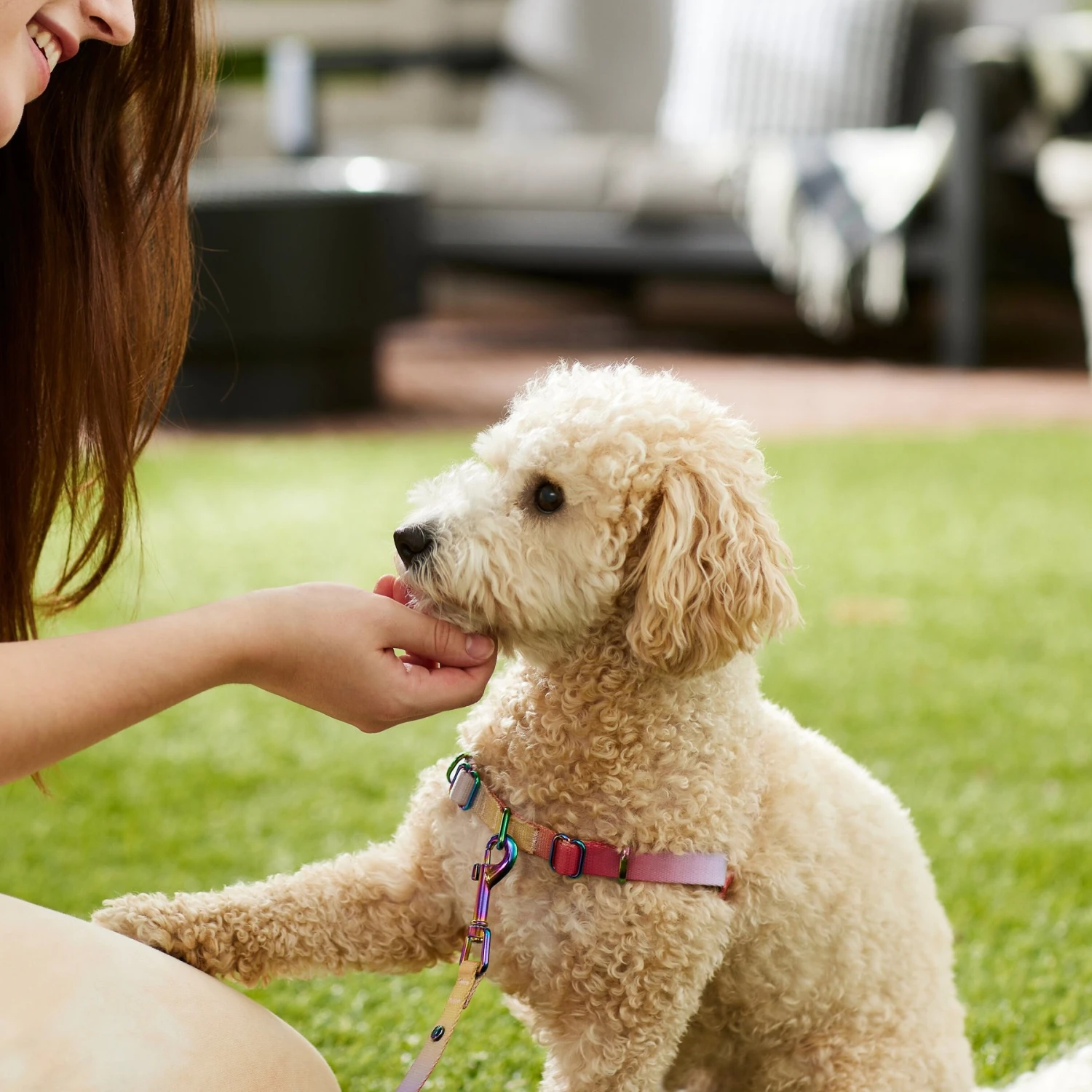 Frisco Pink Ombre Style Dog Harness - Image 5